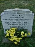 image number Ling Glen Norman 121